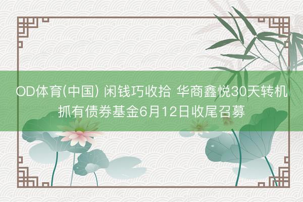 OD体育(中国) 闲钱巧收拾 华商鑫悦30天转机抓有债券基金6月12日收尾召募