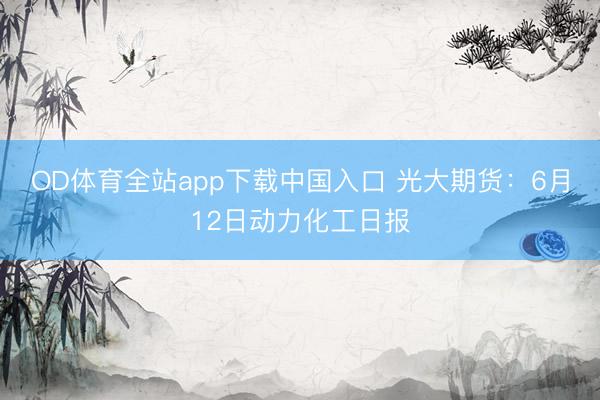 OD体育全站app下载中国入口 光大期货：6月12日动力化工日报