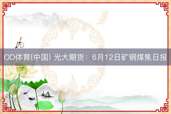 OD体育(中国) 光大期货：6月12日矿钢煤焦日报