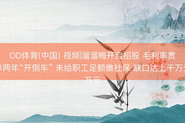 OD体育(中国) 视频|溜溜梅开启招股 毛利率贯串两年“开倒车” 未给职工足额缴社保 缺口达上千万元