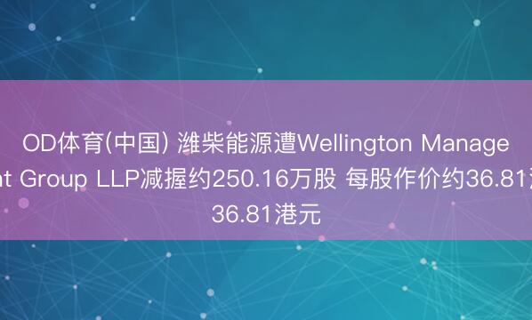 OD体育(中国) 潍柴能源遭Wellington Management Group LLP减握约250.16万股 每股作价约36.81港元