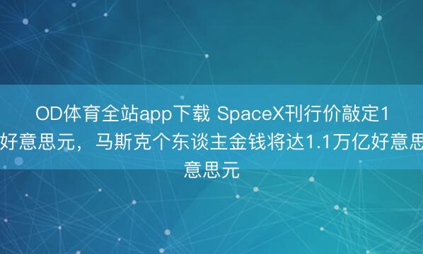OD体育全站app下载 SpaceX刊行价敲定135好意思元，马斯克个东谈主金钱将达1.1万亿好意思元
