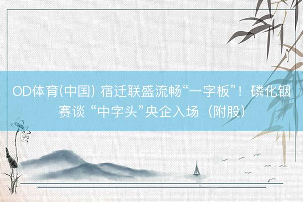 OD体育(中国) 宿迁联盛流畅“一字板”！磷化铟赛谈 “中字头”央企入场（附股）