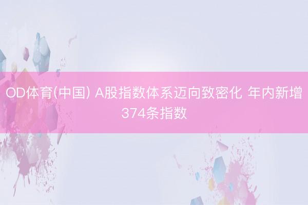 OD体育(中国) A股指数体系迈向致密化 年内新增374条指数
