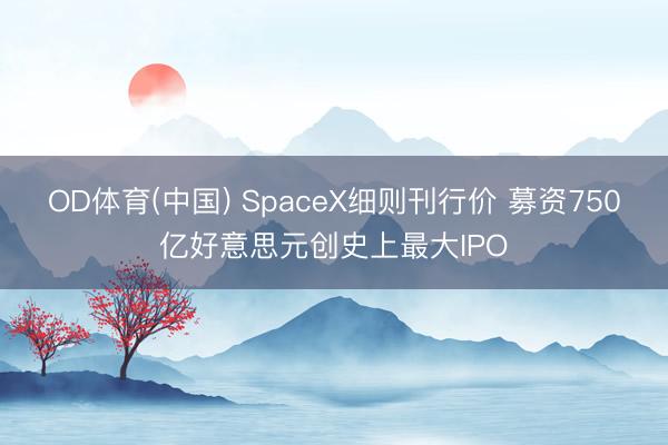 OD体育(中国) SpaceX细则刊行价 募资750亿好意思元创史上最大IPO