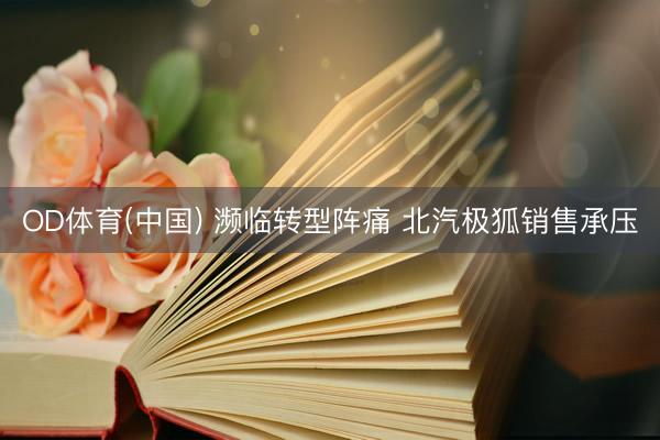 OD体育(中国) 濒临转型阵痛 北汽极狐销售承压