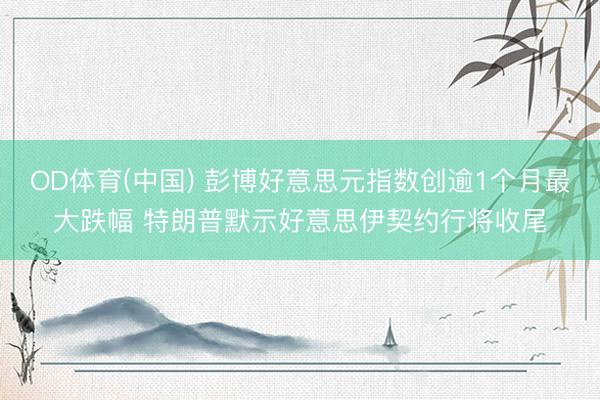 OD体育(中国) 彭博好意思元指数创逾1个月最大跌幅 特朗普默示好意思伊契约行将收尾