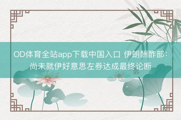 OD体育全站app下载中国入口 伊朗酬酢部：尚未就伊好意思左券达成最终论断