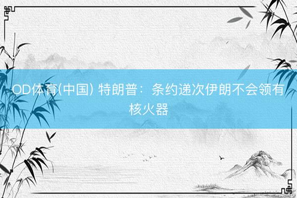 OD体育(中国) 特朗普：条约递次伊朗不会领有核火器