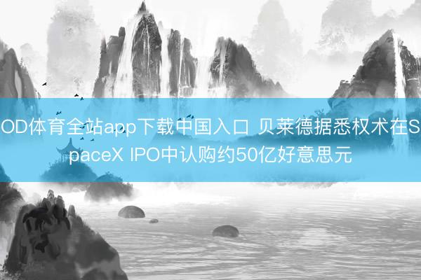 OD体育全站app下载中国入口 贝莱德据悉权术在SpaceX IPO中认购约50亿好意思元