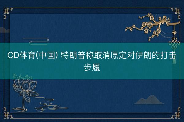 OD体育(中国) 特朗普称取消原定对伊朗的打击步履