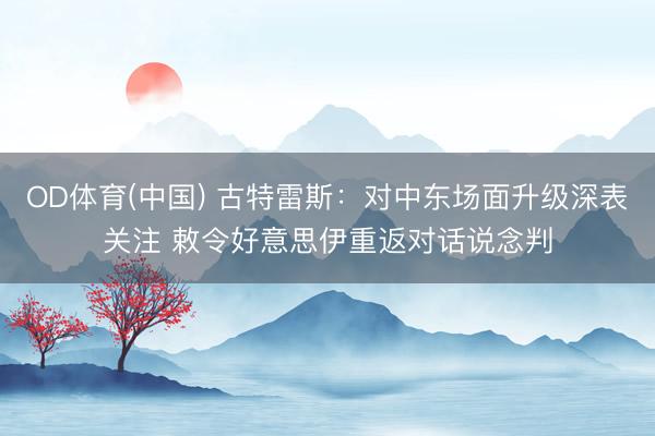 OD体育(中国) 古特雷斯：对中东场面升级深表关注 敕令好意思伊重返对话说念判