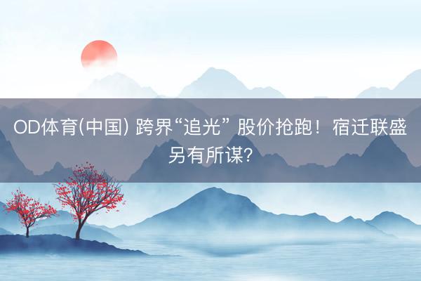 OD体育(中国) 跨界“追光” 股价抢跑！宿迁联盛另有所谋？