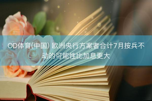 OD体育(中国) 欧洲央行方案者合计7月按兵不动的可能性比加息更大