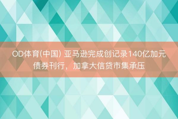 OD体育(中国) 亚马逊完成创记录140亿加元债券刊行，加拿大信贷市集承压