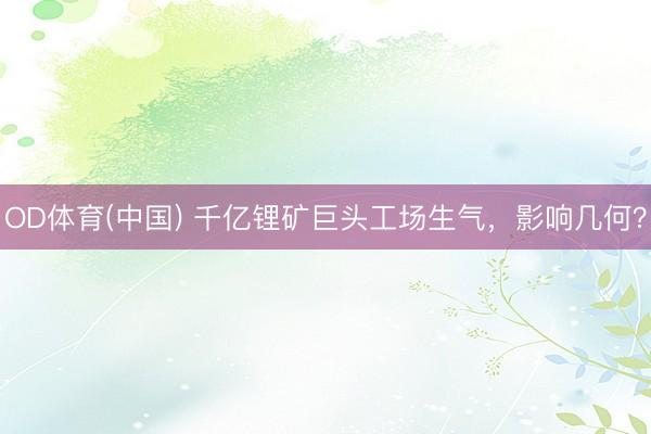 OD体育(中国) 千亿锂矿巨头工场生气，影响几何？