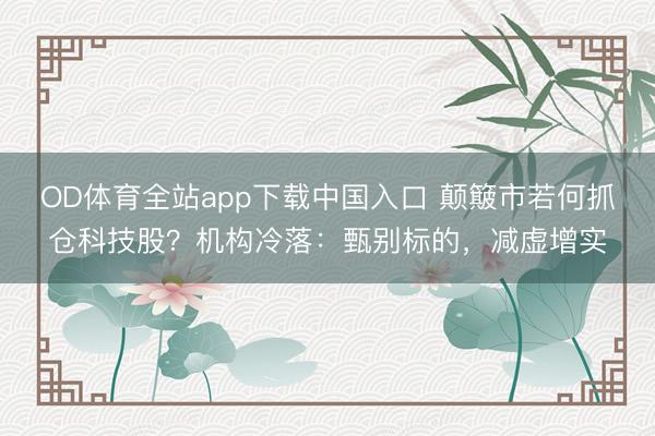 OD体育全站app下载中国入口 颠簸市若何抓仓科技股？机构冷落：甄别标的，减虚增实