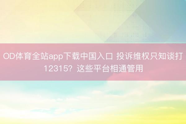 OD体育全站app下载中国入口 投诉维权只知谈打12315？这些平台相通管用