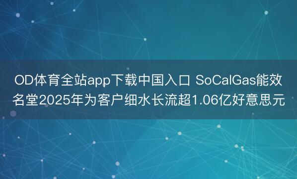 OD体育全站app下载中国入口 SoCalGas能效名堂2025年为客户细水长流超1.06亿好意思元