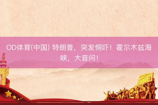 OD体育(中国) 特朗普，突发恫吓！霍尔木兹海峡，大音问！