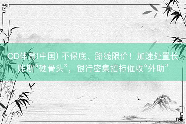 OD体育(中国) 不保底、路线限价！加速处置长账期“硬骨头”，银行密集招标催收“外助”