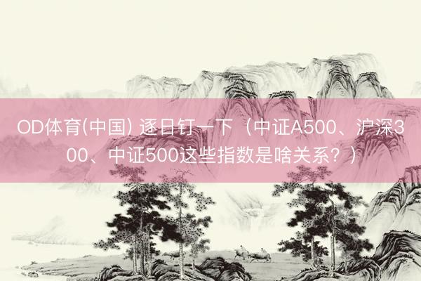 OD体育(中国) 逐日钉一下（中证A500、沪深300、中证500这些指数是啥关系？）