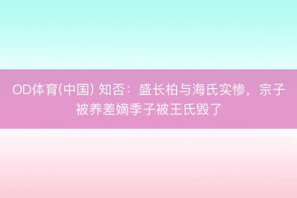 OD体育(中国) 知否：盛长柏与海氏实惨，宗子被养差嫡季子被王氏毁了