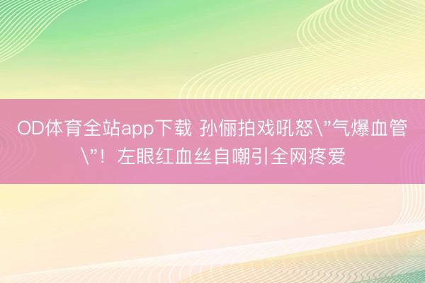 OD体育全站app下载 孙俪拍戏吼怒