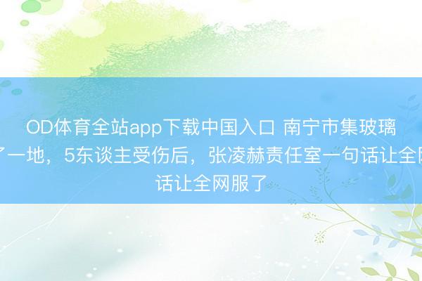 OD体育全站app下载中国入口 南宁市集玻璃门碎了一地，5东谈主受伤后，<a href=