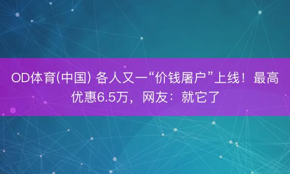 OD体育(中国) 各人又一“价钱屠户”上线！最高优惠6.5万，网友：就它了