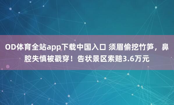 OD体育全站app下载中国入口 须眉偷挖竹笋，鼻腔失慎被戳穿！告状景区索赔3.6万元
