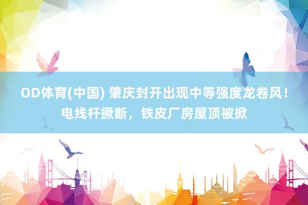 OD体育(中国) 肇庆封开出现中等强度龙卷风！电线杆撅断，铁皮厂房屋顶被掀