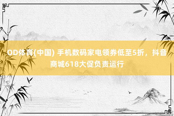 OD体育(中国) 手机数码家电领券低至5折，抖音商城618大促负责运行