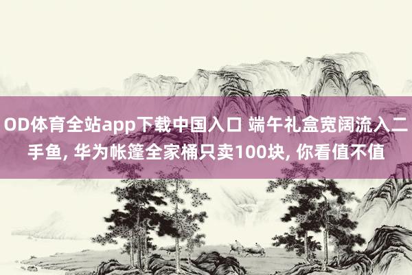 OD体育全站app下载中国入口 端午礼盒宽阔流入二手鱼, 华为帐篷全家桶只卖100块, 你看值不值
